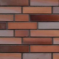 109 Oldenburg rot-bunt glatt NF Hol