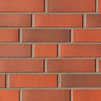 107 Schwerin rot-bunt glatt NF Hol